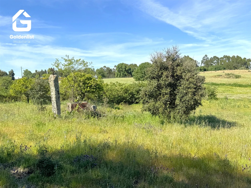 Quinta T0 para Venda em Escalos de Cima e Lousa Foto 27