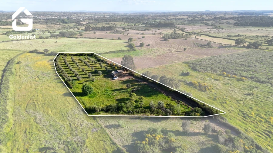 Quinta T0 para Venda em Escalos de Cima e Lousa
