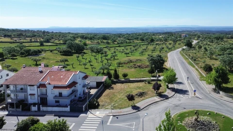 Terreno para Venda em Castelo Branco