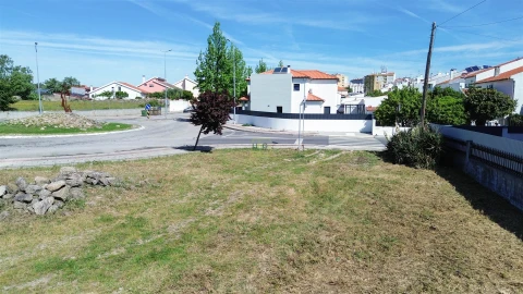 Terreno para Venda em Castelo Branco