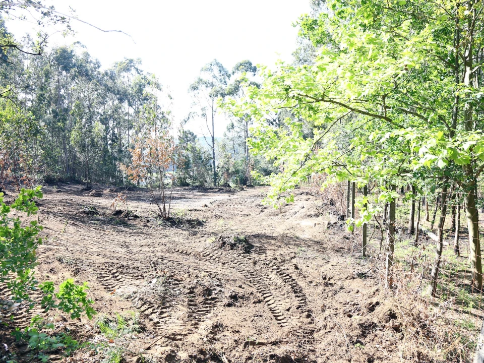 Terreno para Venda em Lustosa e Barrosas (Santo Estêvão) Foto 3