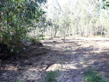 Terreno para Venda em Lustosa e Barrosas (Santo Estêvão)