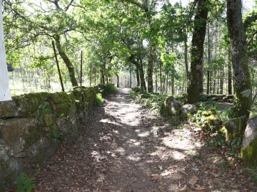 Terreno para Venda em Lustosa e Barrosas (Santo Estêvão)