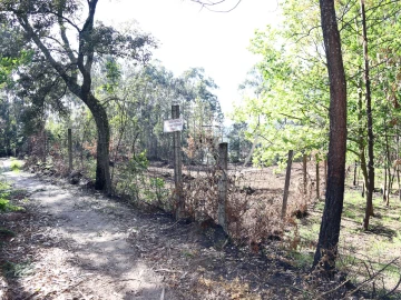 Terreno para Venda em Lustosa e Barrosas (Santo Estêvão)
