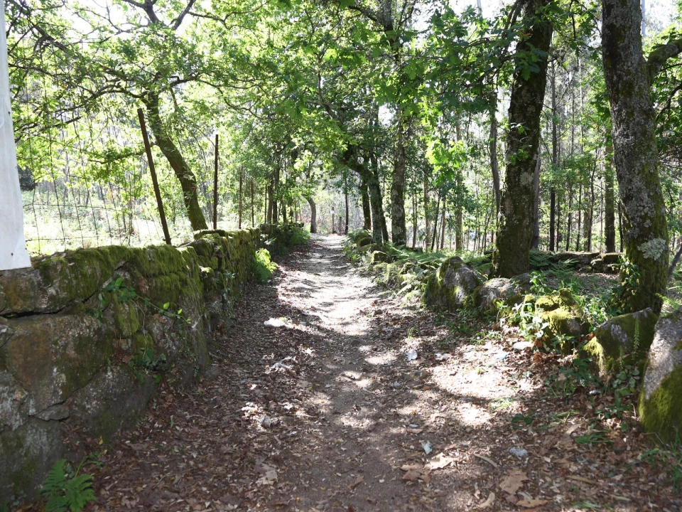 Terreno para Venda em Lustosa e Barrosas (Santo Estêvão) Foto 1