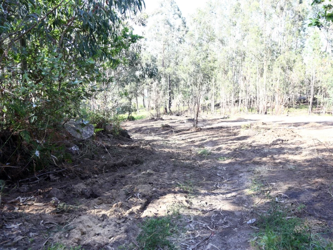 Terreno para Venda em Lustosa e Barrosas (Santo Estêvão) Foto 5