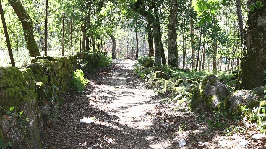 Terreno para Venda em Lustosa e Barrosas (Santo Estêvão)