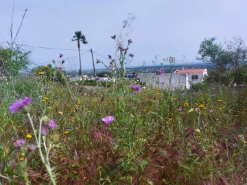 Terreno para Venda em Santa Barbara de Nexe