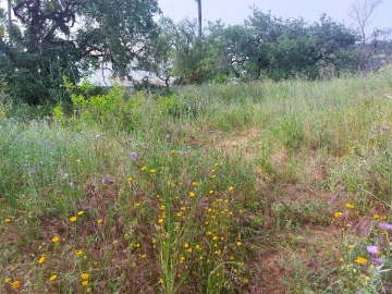 Terreno para Venda em Santa Barbara de Nexe