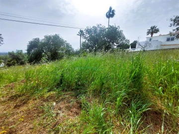 Terreno para Venda em Santa Barbara de Nexe