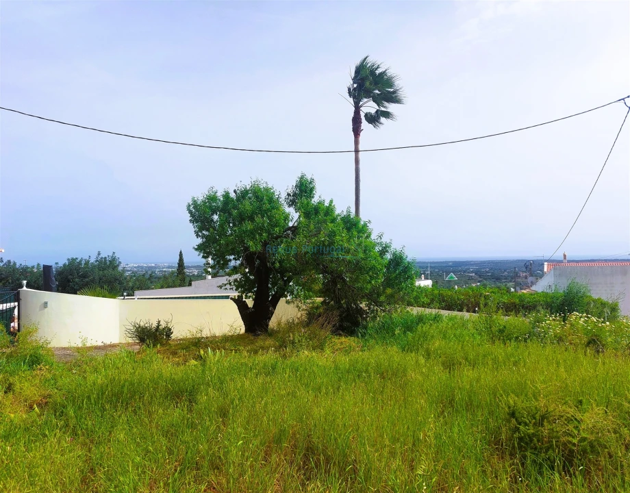 Terreno para Venda em Santa Barbara de Nexe Foto 8