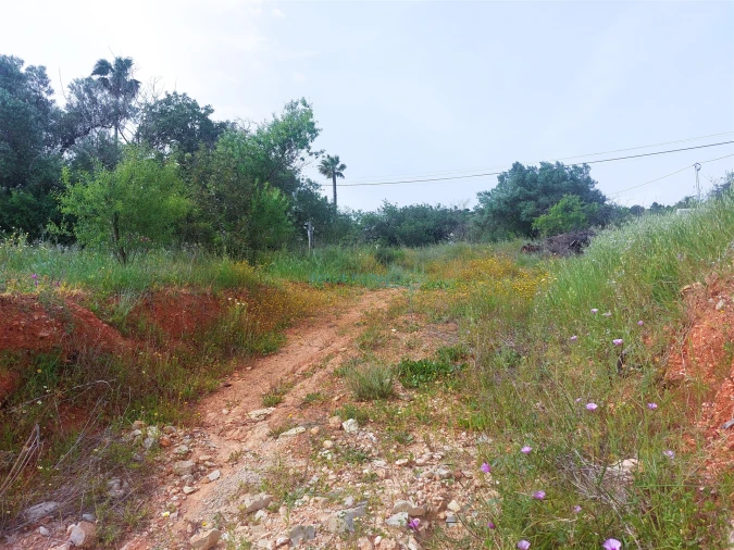 Terreno para Venda em Santa Barbara de Nexe Foto 5