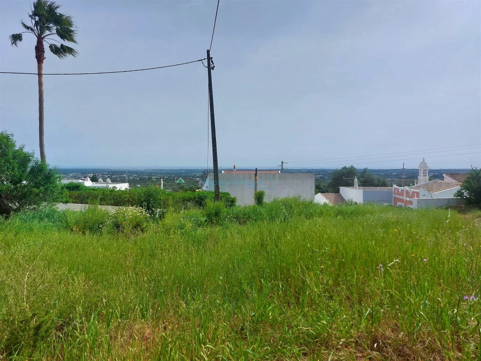 Terreno para Venda em Santa Barbara de Nexe Foto 7