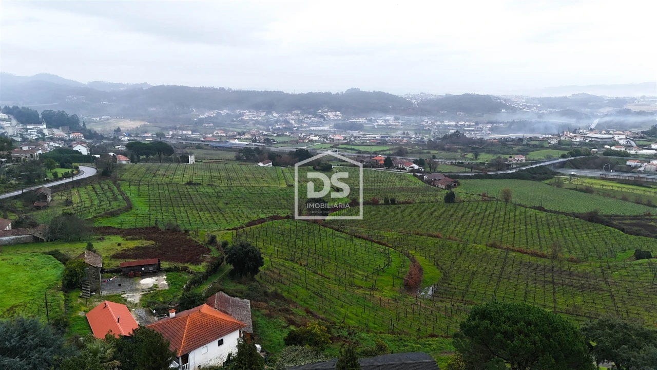 Terreno para Venda em Figueiras e Covas Foto 12