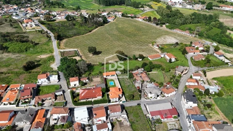 Terreno para Venda em Nespereira e Casais