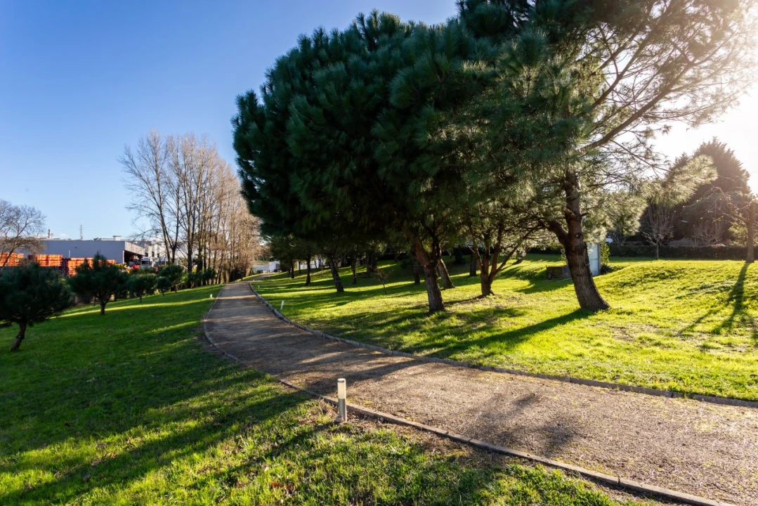 Moradia T4 para Venda em Oliveira do Douro Foto 52