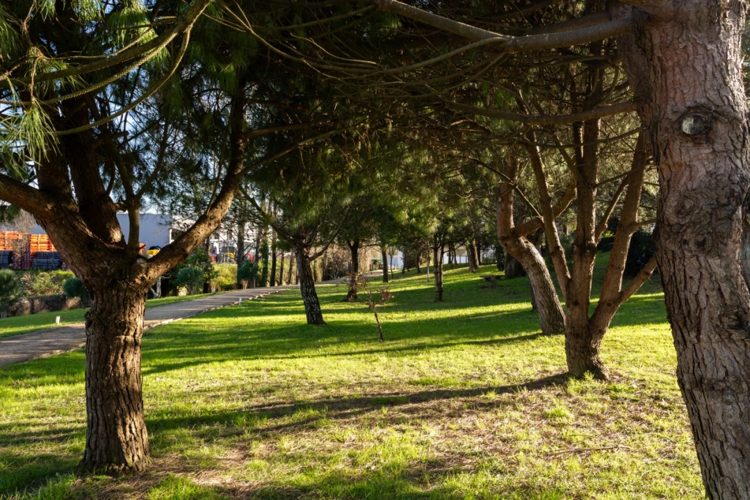 Moradia T4 para Venda em Oliveira do Douro Foto 53