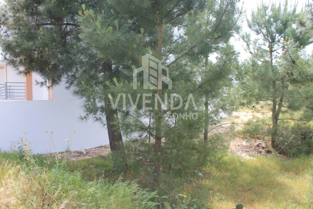 Terreno para Venda em Pinhal Novo Foto 2