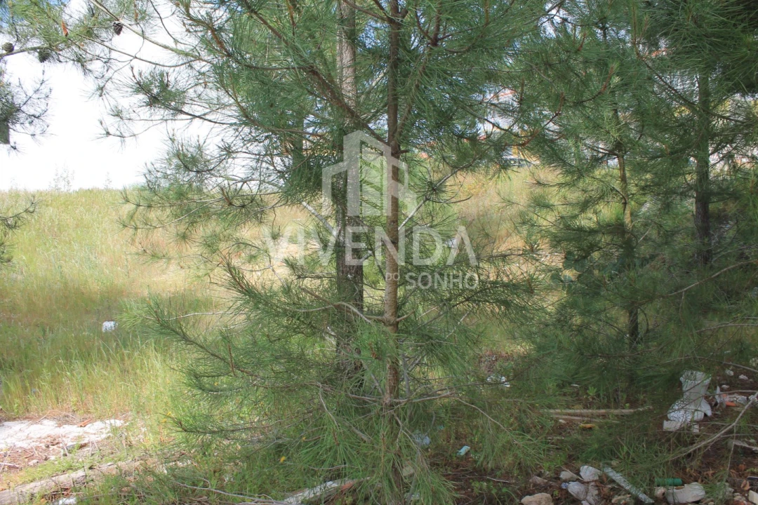 Terreno para Venda em Pinhal Novo Foto 6