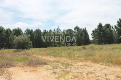 Terreno para Venda em Pinhal Novo