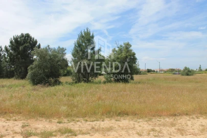 Terreno para Venda em Pinhal Novo