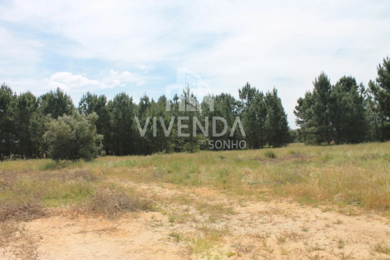 Terreno para Venda em Pinhal Novo Foto 10