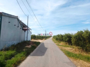 Terreno para Venda em Almoster