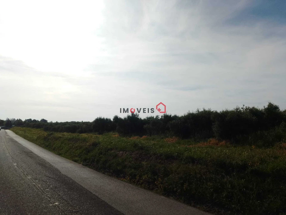 Terreno para Venda em Almoster Foto 11