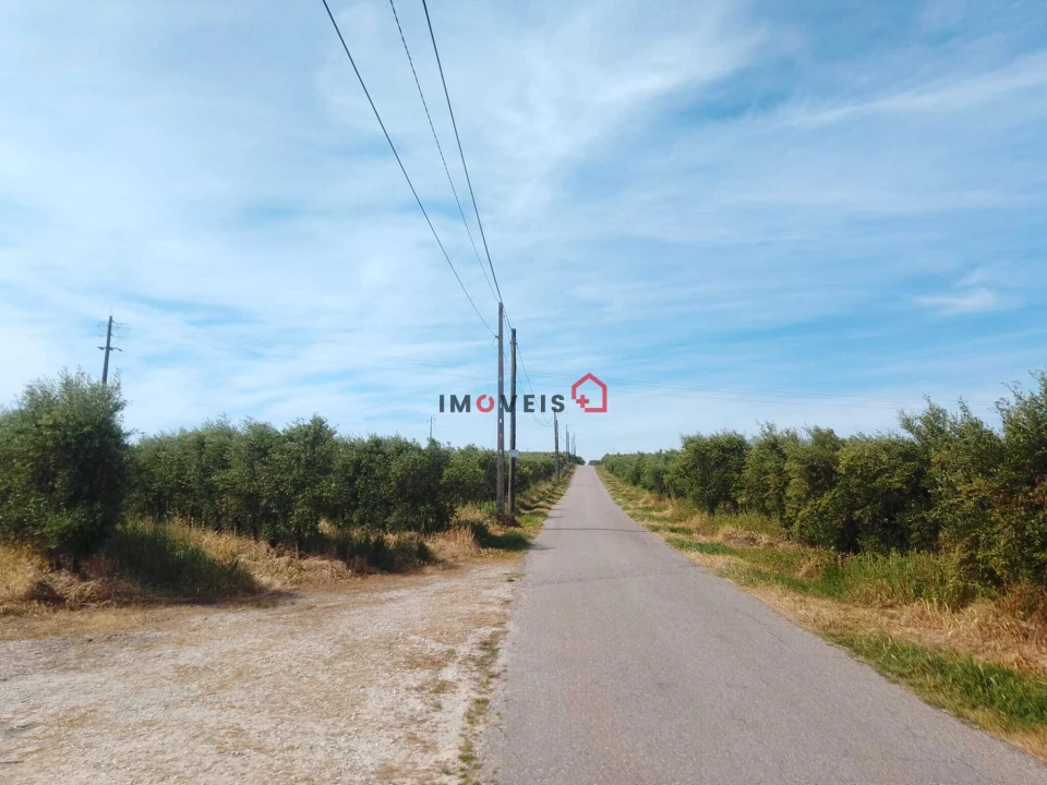 Terreno para Venda em Almoster Foto 8