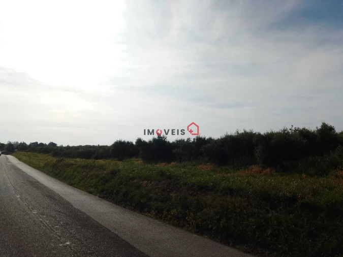 Terreno para Venda em Almoster Foto 11