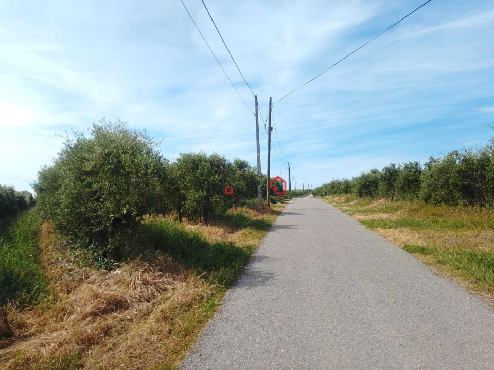 Terreno para Venda em Almoster Foto 3