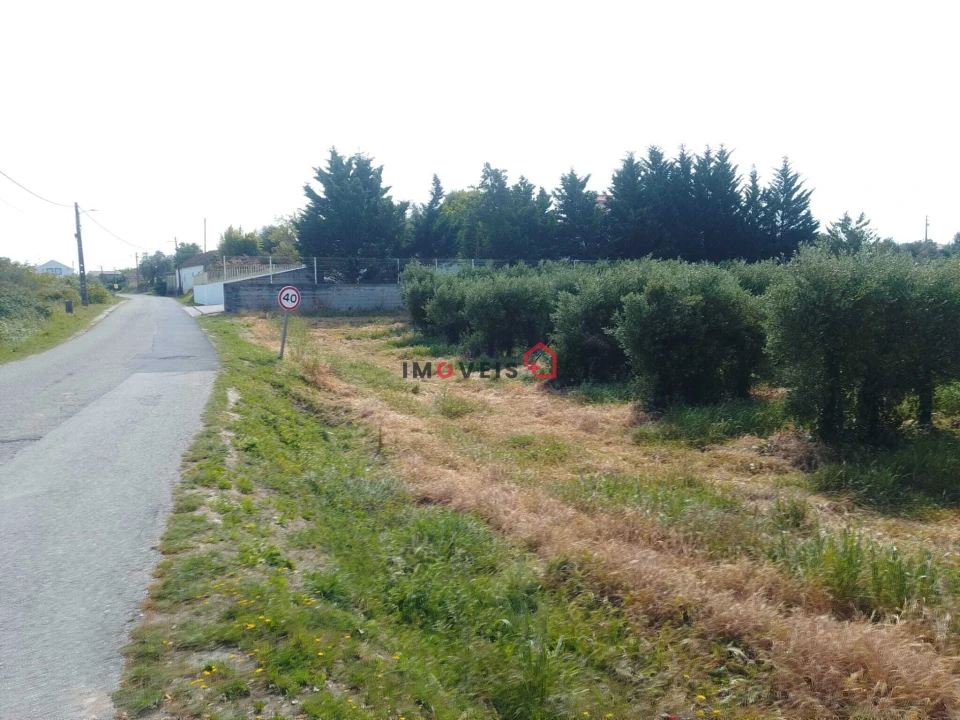 Terreno para Venda em Almoster Foto 7