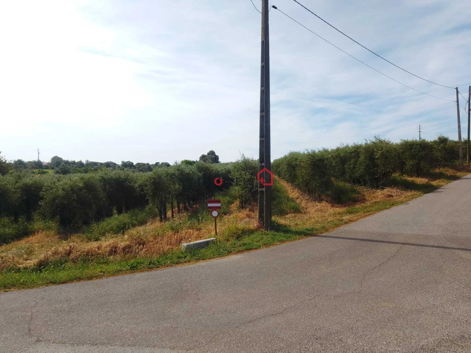 Terreno para Venda em Almoster Foto 5