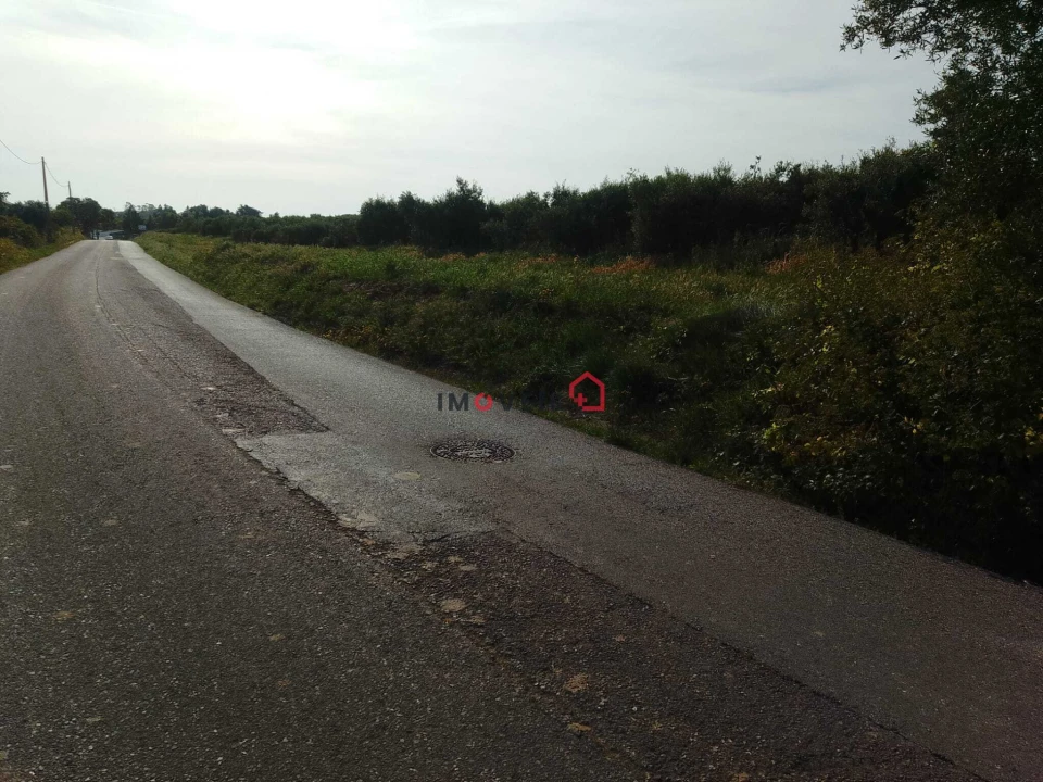 Terreno para Venda em Almoster Foto 4