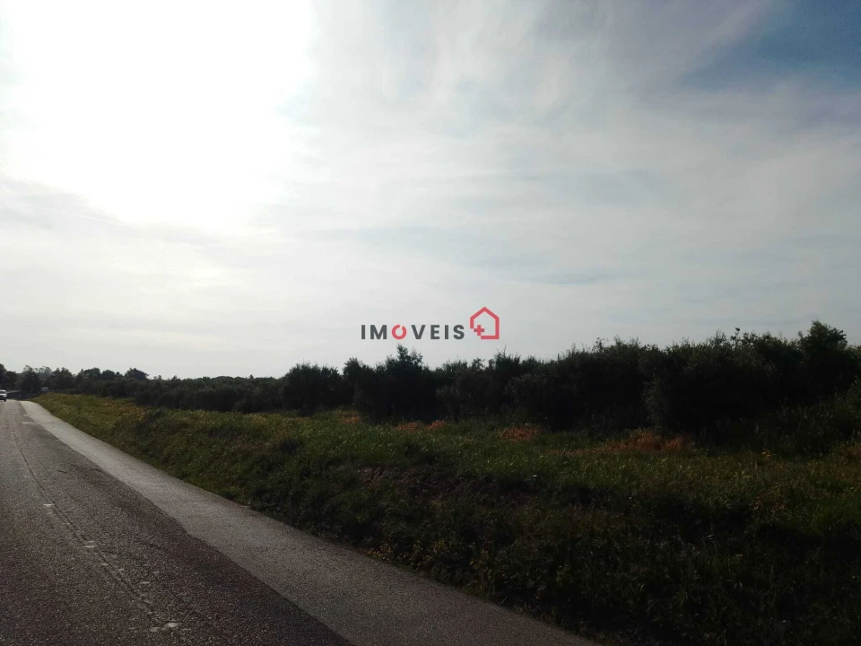 Terreno para Venda em Almoster Foto 12