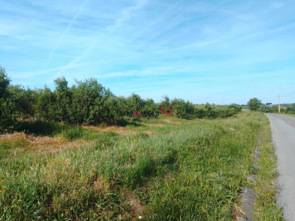 Terreno para Venda em Almoster Foto 1
