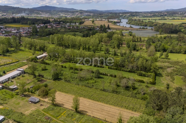 Terreno para Venda em Merelim (São Paio), Panoias e Parada de Tibães Foto 14
