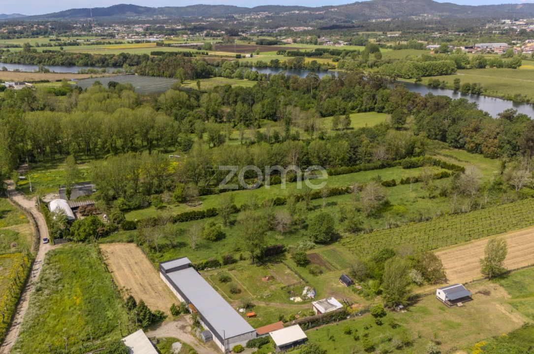 Terreno para Venda em Merelim (São Paio), Panoias e Parada de Tibães Foto 12