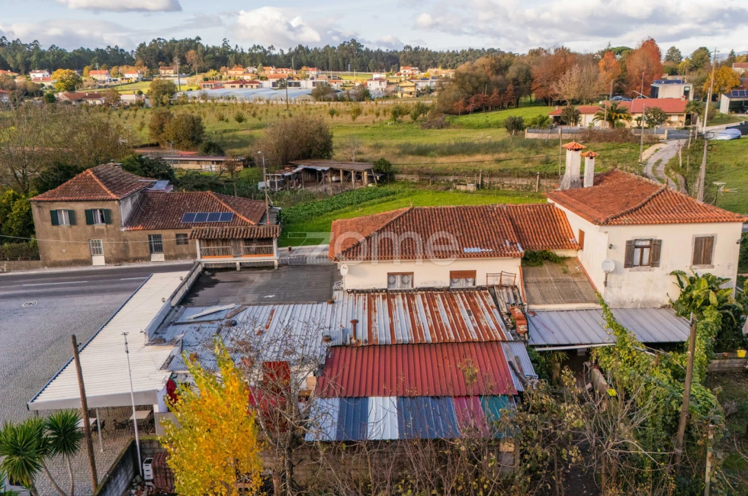 Negócio para Venda em Martim Foto 34