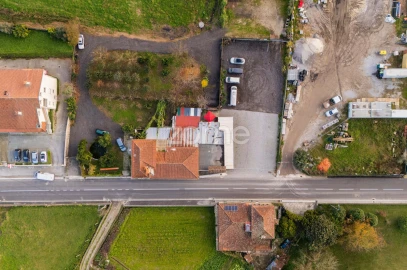 Negócio para Venda em Martim