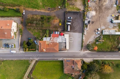 Negócio para Venda em Martim