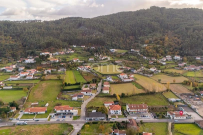 Negócio para Venda em Martim