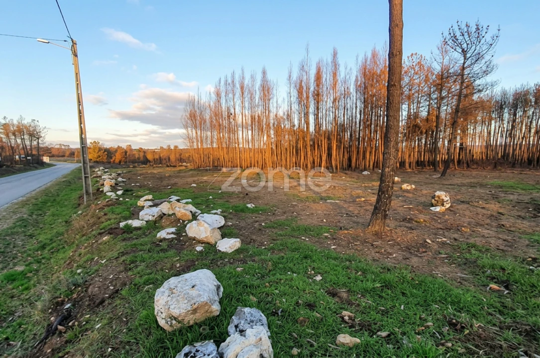 Terreno para Venda em Águas Boas e Forles Foto 10