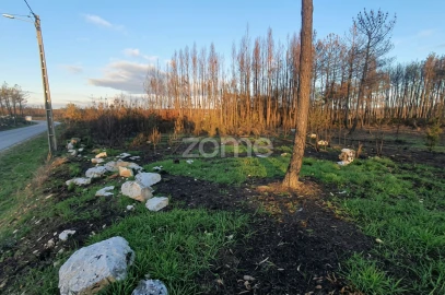 Terreno para Venda em Águas Boas e Forles