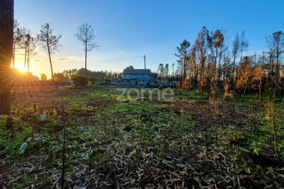 Terreno para Venda em Águas Boas e Forles