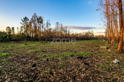 Terreno para Venda em Águas Boas e Forles