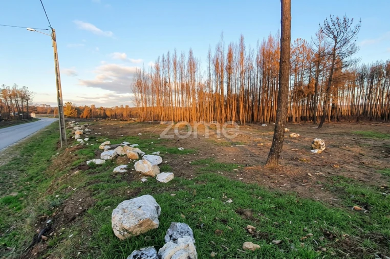 Terreno para Venda em Águas Boas e Forles Foto 10