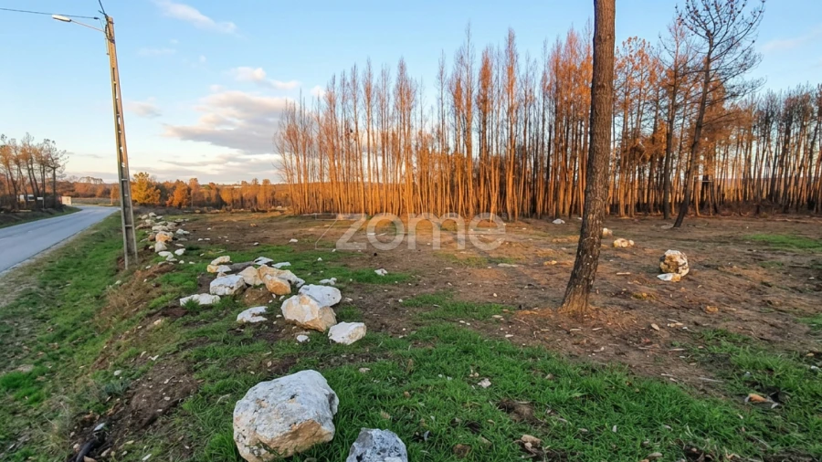 Terreno para Venda em Águas Boas e Forles