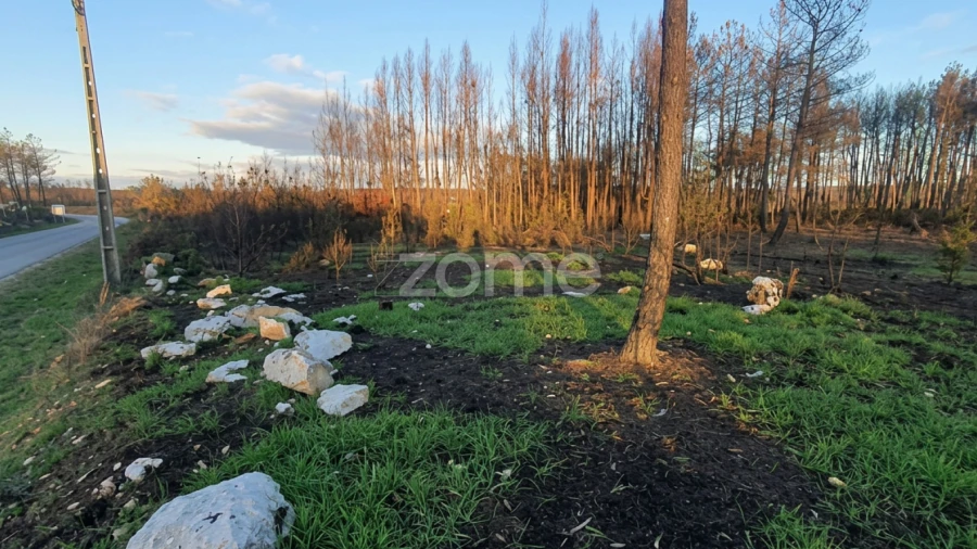 Terreno para Venda em Águas Boas e Forles