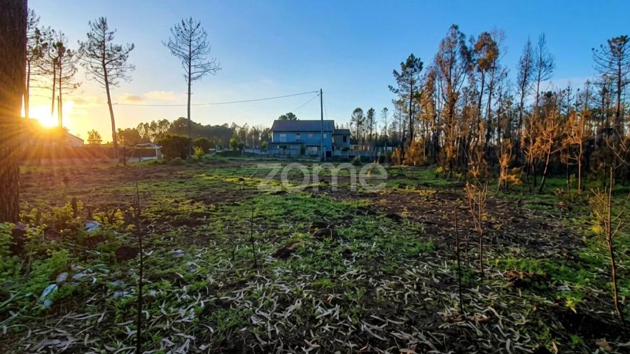 Terreno para Venda em Águas Boas e Forles
